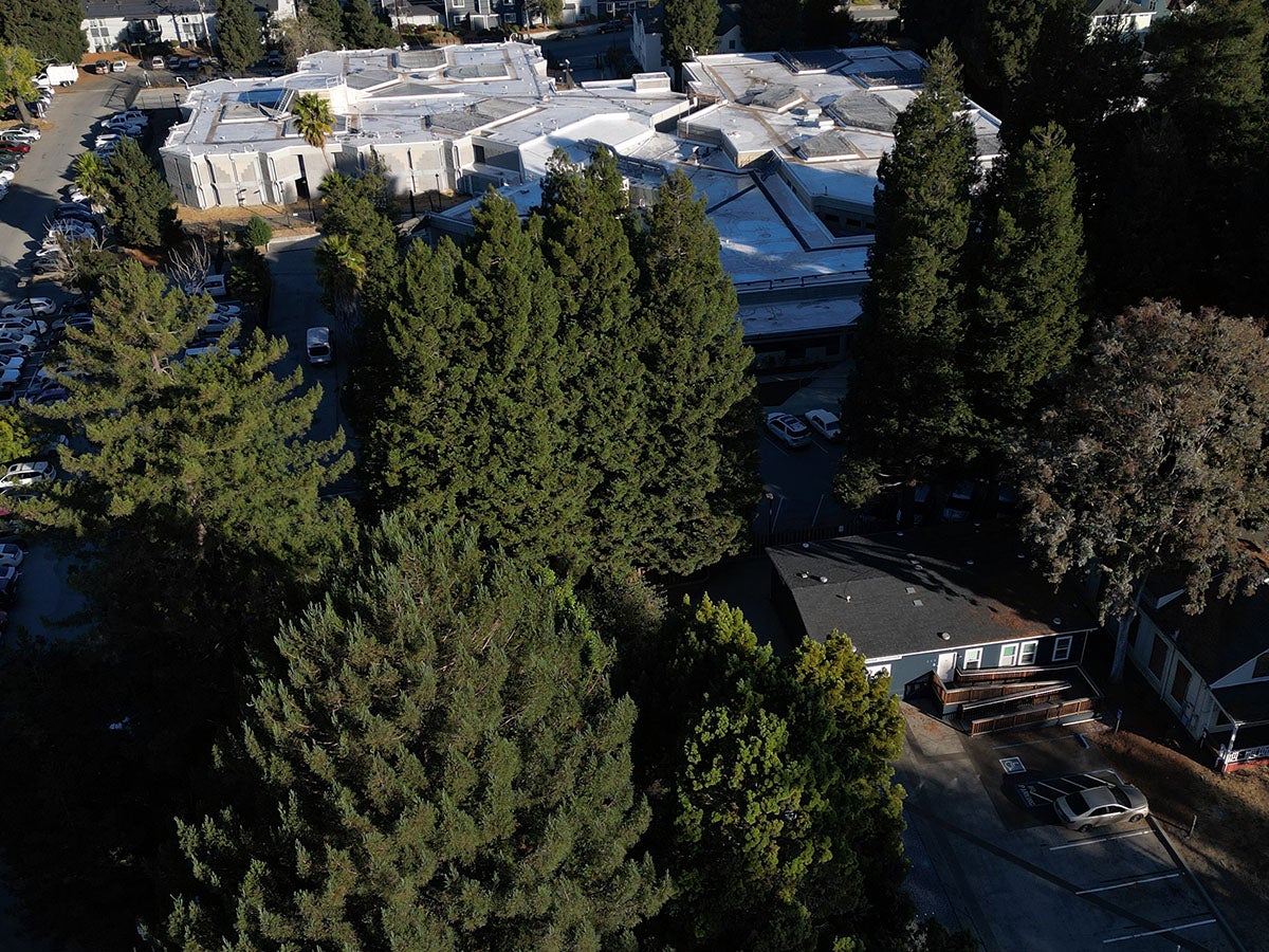 sobering center benefits patients - Janus Sobering Center location near Santa Cruz County Jail