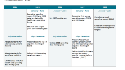 Table that describes planned health care development milestones from July 2024 to June 2028.